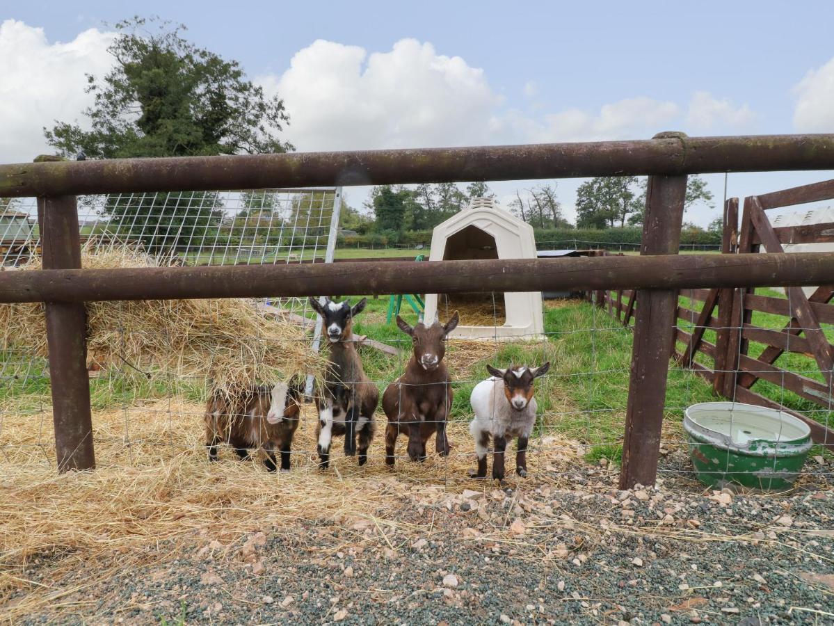 فيلا The Pod At Bank House Farm ستافورد المظهر الخارجي الصورة